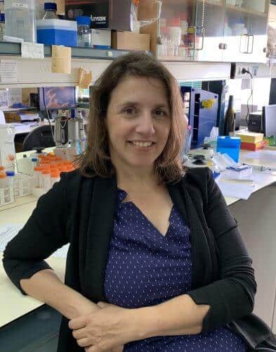 البروفيسور تامي جيجر. الصورة: جامعة تل أبيب