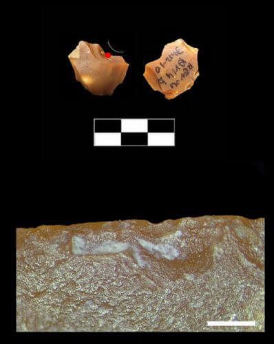 A tiny splash from the Rabadi site: signs of use (indicated by lines) and bone remains (indicated by a white dot and enlarged in the lower image). Photo: Dr. Flavia Venditti and Prof. Ran Barkai