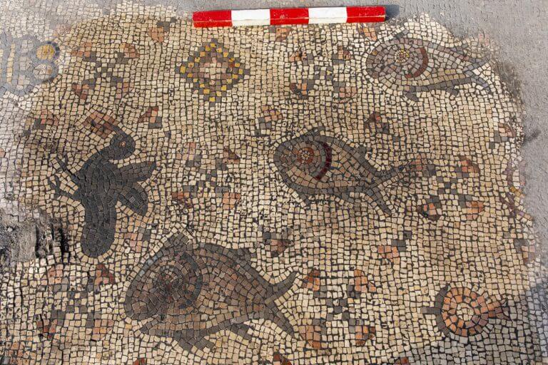 Three fish of different sizes from the decoration of the mosaic tapestry discovered in Susita. Photo: Dr. Michael Isenberg