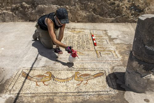 ג'סיקה רנטז מנקה צמד ציפורים האוחזות זר ומאחוריה אחת מכתובות ההקדשה בפסיפס. צילום: ד"ר מיכאל איזנברג