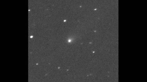 השביט C/2019Q4 כפי שצולם על ידי הטלסקופ קנדה-צרפת-הוואי באי הגדול של הוואי ב - 10 בספטמבר 2019. צילום: טלסקופ קנדה-צרפת-הוואי