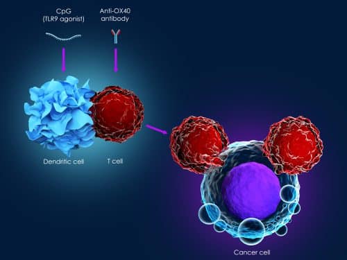 Immunotherapy to cure cancer. Illustration: shutterstock