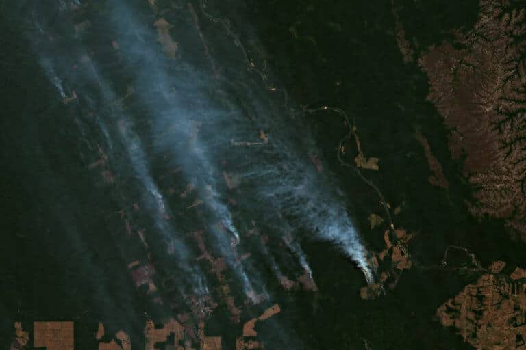 The giant fires in the Amazon rainforest, August 2019. Photo: shutterstock