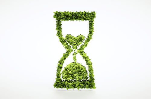 הזמן אוזל - גם צמחים נכחדים. איור: shutterstock