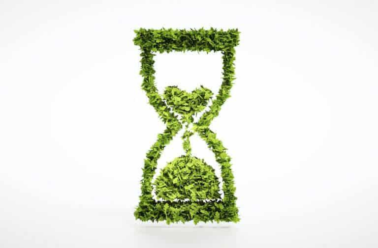 הזמן אוזל - גם צמחים נכחדים. איור: shutterstock