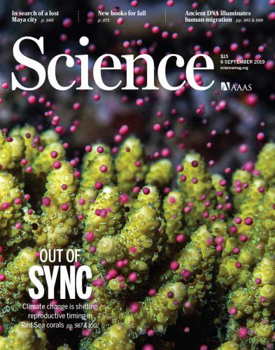  תמונת השער של כתב העת Science (באדיבות כתב העתScience )