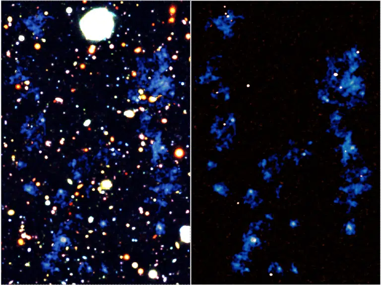 Maps of filaments of matter filling the universe. The gas wires are shown in blue. The background maps are an optical image taken by the Subaru Telescope (left) and a millimeter wavelength image taken by the ALMA observatory (right). Existence of extensive gaseous structures and cosmic web wires discovered (left); and that the filaments connect several galaxies where there is a high rate of star formation (right). Credit: RIKEN