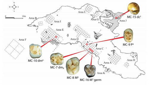 خريطة الكهف مع تحديد موقع المناطق التي تم العثور فيها على الأسنان. تصوير: د. راحيلي شاريج