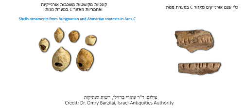 Oranic bone vessels from area C in Manot Cave and decorated shells from Oranic and Amharic layers from area C in Manot Cave. Photo: Dr. Omri Barzilai, Antiquities Authority