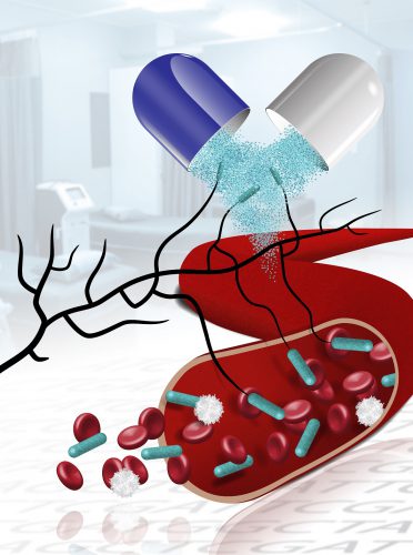 Genetic analysis provides evidence that the origin of bacteria in blood infections is in a capsule of a probiotic preparation. In the illustration you see a capsule from which blue probiotic bacteria are dispersed. You can see that they reach the blood vessels (infection). The tree (black) that connects the bacteria represents the phylogenetic relationship between the bacteria, that is, the genetic analysis performed by the researchers. Credit: Barak Sha'er Tamar
