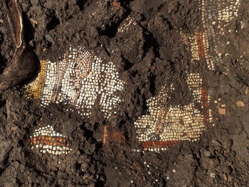 أرضية من الفسيفساء تم اكتشافها في كنيس يهودي قديم في هضبة الجولان. الصورة: مايكل أزباند
