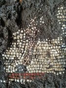 רצפת פסיפס שהתגלתה בבית הכנסת עתיק ברמת הגולן. צילום: מיכאל אזבנד