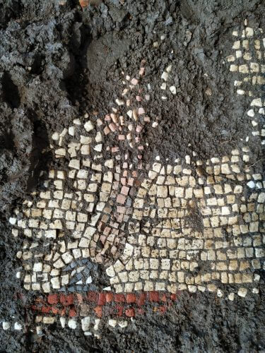 A mosaic floor discovered in an ancient synagogue in the Golan Heights. Photo: Michael Azband