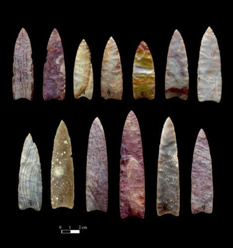 חניתות אבן בנות 13 אלף שנה מקולורדו. צילום: Chip Clark, Smithsonian Institution