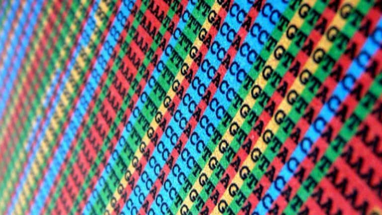 האיור מציג את האותיות המייצגות בסיסים DNA ו- RNA. ספין-אוף של CRISPR מסוגל לשנות בסיסים ב-DNA ו- RNA. מקור: Shaury Nash.