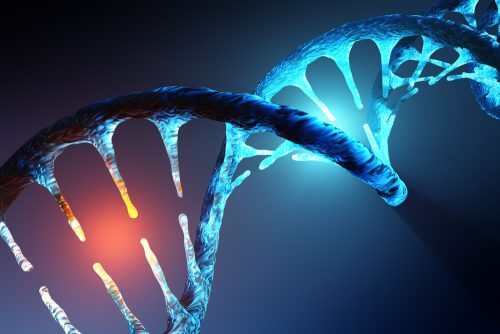 גדילי DNA. איור: shutterstock