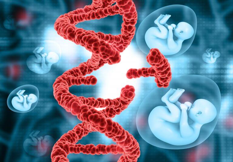 Gene editing of embryos. Illustration: shutterstock
