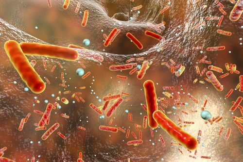 Bacterial resistance to antibiotics. Illustration: shutterstock