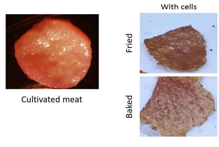 Fried and baked meat comparison between normal and cultured meat. Image from the article