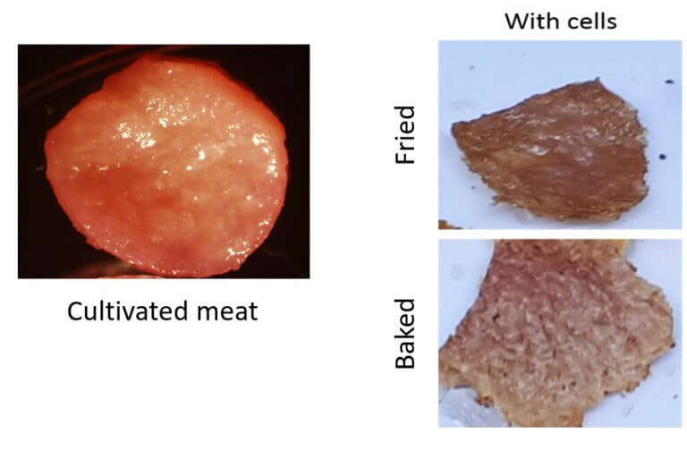 בשר מטוגן ואפוי השוואה בין בשר רגיל למתורבת. תמונה מתוך המאמר