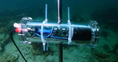 התקן CORaiL העוקב אחר תנועת הדגים בשונית אלמוגים באמצעות בינה מלאכותית. צילום יחצ אינטל