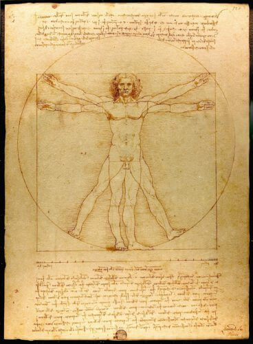 האדם הויטרובי: פרופוציות הגוף האנושי לפי לאונרדו דה וינצ'י. אורך היד הוא שני שלישים מאורך הרגל.