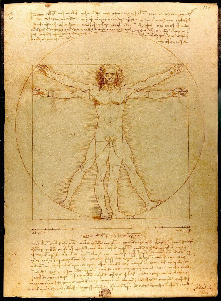 Vitruvian man: the proportions of the human body according to Leonardo da Vinci. The length of the hand is two thirds of the length of the leg.