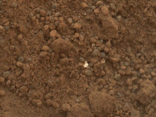 تربة مريخية بالقرب من منطقة هبوط مركبة Mars Preservers. الصورة: وكالة الفضاء الأوروبية