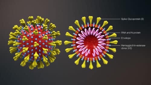 The corona virus. Illustration: Jumpstory.com