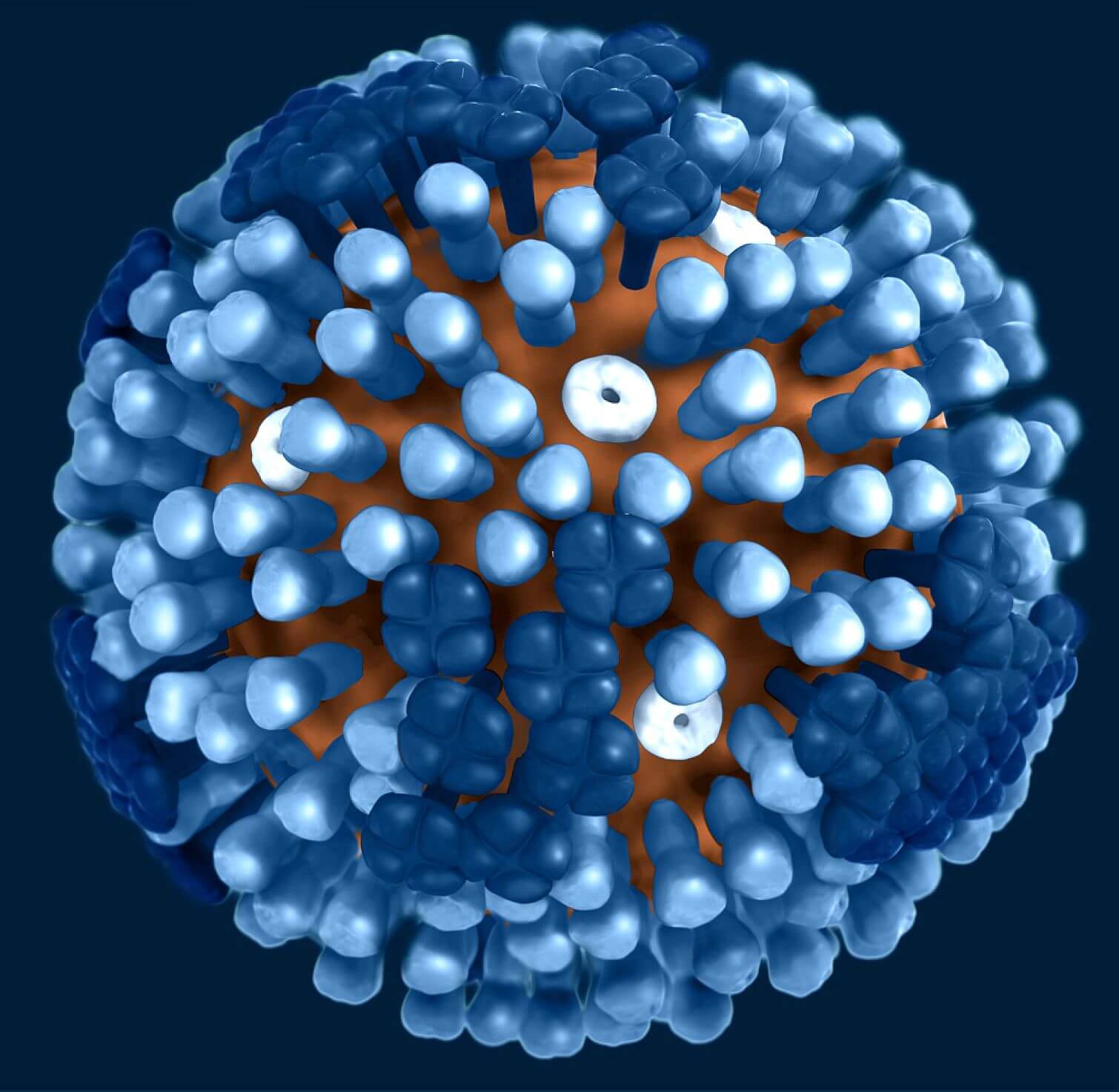 Белок вируса гриппа. Вирион вируса гриппа. Сферические вирусы. Молекула гриппа. Шарообразные вирусы гриппа.
