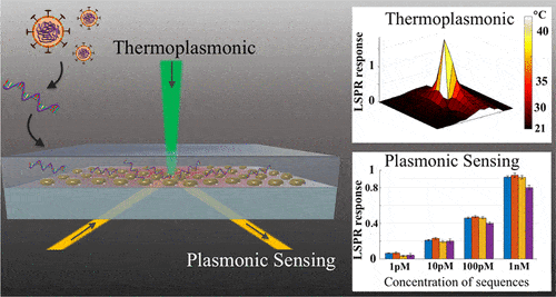 Schematic description of the method: defined segments of viral RNA are bound to complementary segments that are on gold nanoparticles fixed on the surface of the embryo undergoing plasmonic sensing