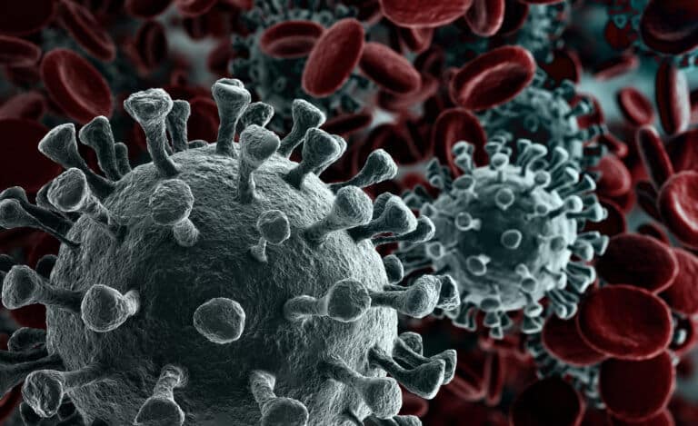 Corona viruses in the bloodstream. Illustration: shutterstock