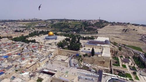 סיס בתעופה  מעל העיר העתיקה. צילום: יובל דקס