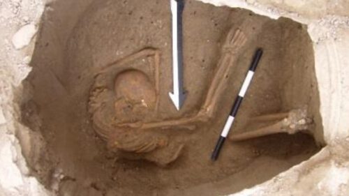 שלד של כנעני בן כ-3,700 שנה מצידון. מתוך המאמר המדעי