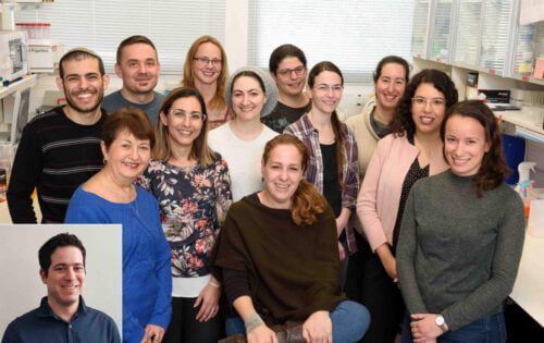 First row (from right to left): Inbal Zigdon, Dr. Yifat Marble, Dr. Molly Dayan and Dr. Ron Ben-Yair (in the frame), second row: Noa Hezekiah, Dr. Merav Shmoeli and Roi Maor, third row: Neta Nodel, Dr. Avital Eisenberg-Lerner, Mercedes Rosenwald and Dr. Matthias Kramer, fourth row: Adi Ullman and Dr. Judith Itka Shagiv. Do not break under pressure. Photo by Weizmann Institute spokesperson