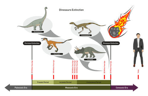An infographic illustrating the geological periods and the major extinctions in between. Illustration: shutterstock