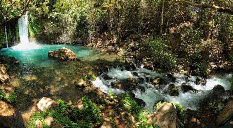 Nahal Banias Reserve. Photo: Protasov AN, Shutterstock