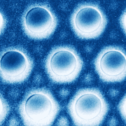 צילום אלקטרוני של תבנית האור הלכוד בגביש פוטוני (צילום של המיקרוסקופ הקוונטי)