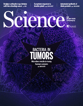 השער של כתב-העת המדעי Science המציג את המחקר