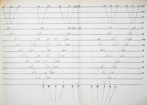 Chart from Darwin's Origin of Species