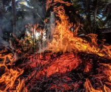 שריפות הנגרמות כתוצאה ממשבר האקלים. מתוך Jumpstory
