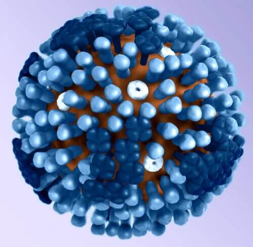 XNUMXD visualization of corona virus. Illustration: from Jumpstory