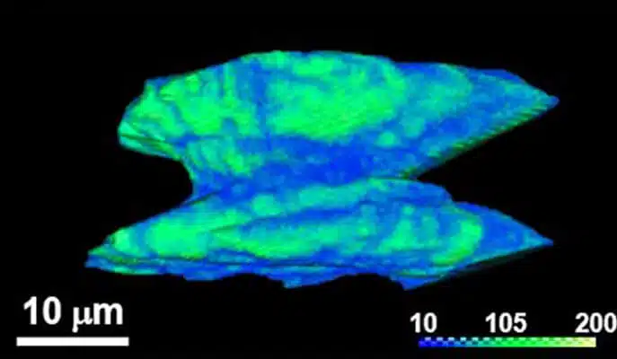 Micro-CT imaging of the crystal