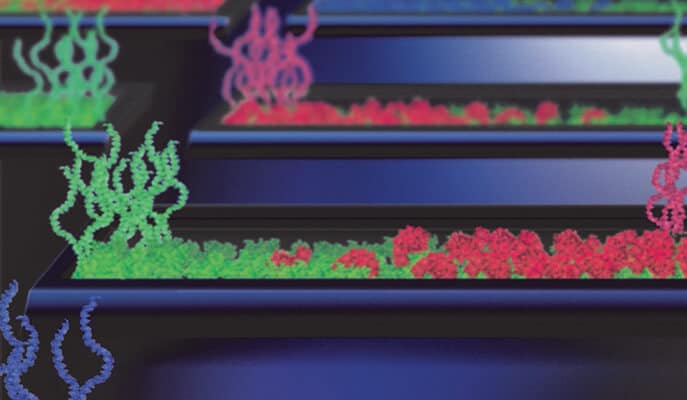 "Protein factory" on a chip. Courtesy of the Weizmann Institute