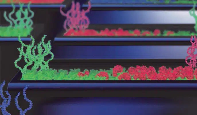 "Protein factory" on a chip. Courtesy of the Weizmann Institute