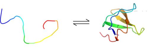 Two proteins tested continuously switched between a folded and unfolded state, with the scientists controlling the rate of transition using the temperature in the sample