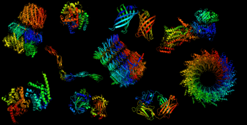 protein folding. Photo: Mohammed AlQuraishi, Harvard University.