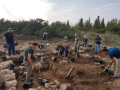 החפירה בגלאון בהשתתפות עשרות בני נוער ומתנדבים.צילום סער גנור רשות העתיקות