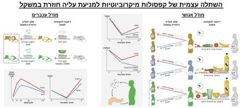 Self-implantation of capsules - the process. Illustration courtesy of Ben Gurion University