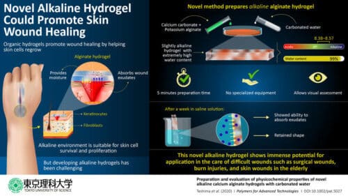 Preparation and evaluation of physicochemical properties of novel hydrogels based on carbonated water [Courtesy University of Tokyo, Japan]
